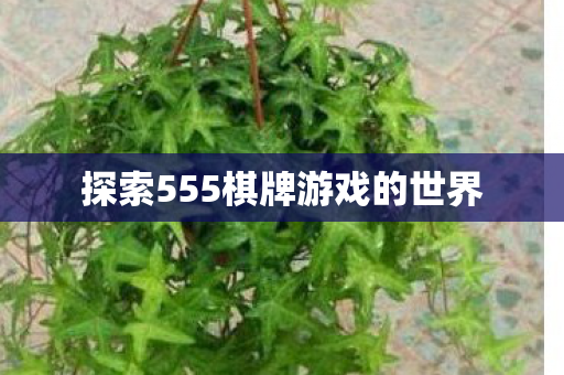 探索555棋牌游戏的世界图片
