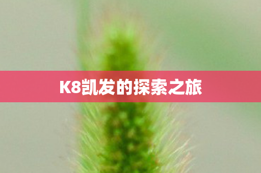 K8凯发的探索之旅图片
