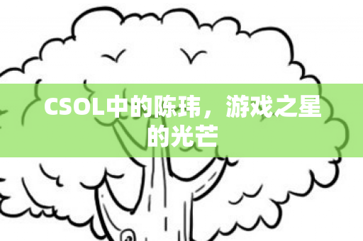 CSOL中的陈玮图片