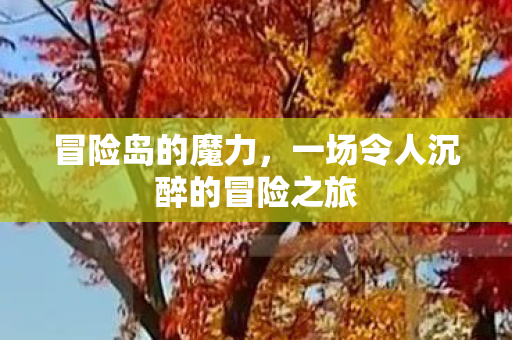 一场令人沉醉的冒险之旅图片