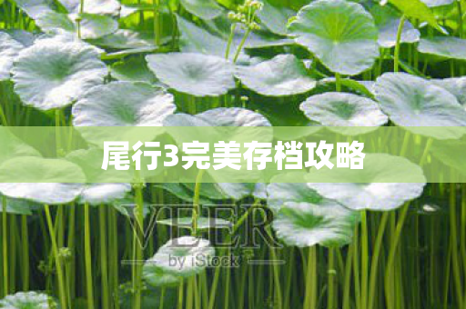 尾行3完美存档攻略图片