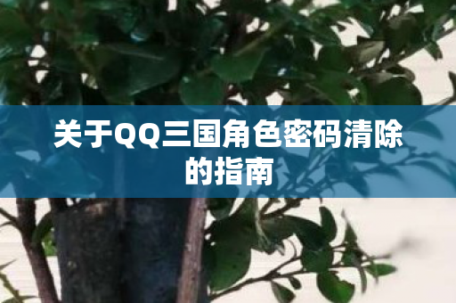 关于QQ三国角色密码清除的指南图片