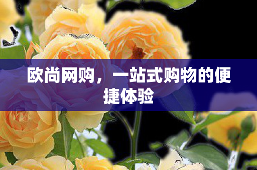 一站式购物的便捷体验图片