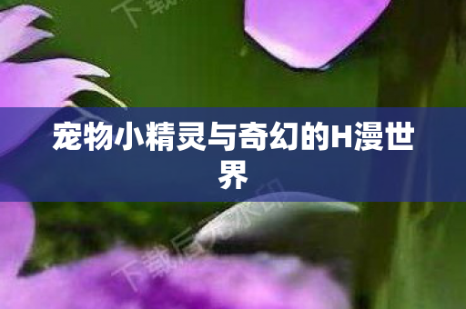 宠物小精灵与奇幻的H漫世界图片