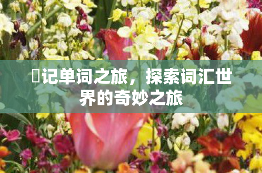 探索词汇世界的奇妙之旅图片