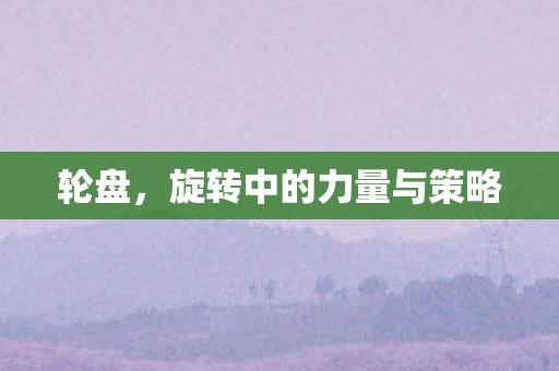 旋转中的力量与策略图片