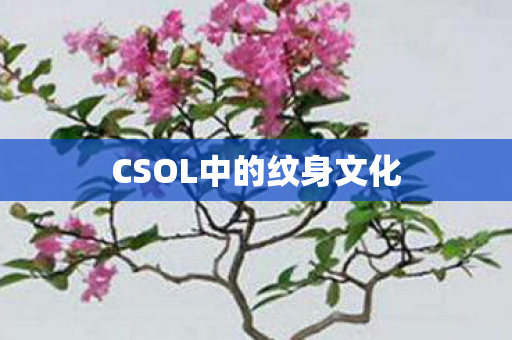 CSOL中的纹身文化图片
