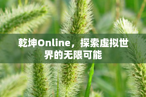探索虚拟世界的无限可能图片