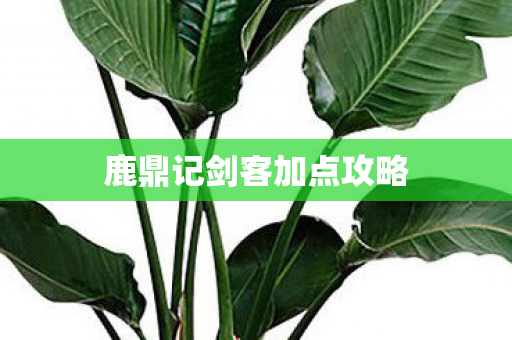 鹿鼎记剑客加点攻略图片