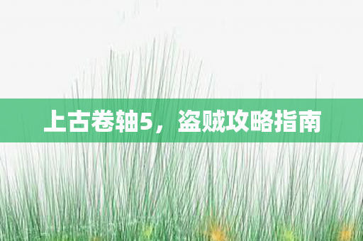 盗贼攻略指南图片