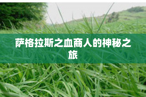 萨格拉斯之血商人的神秘之旅图片
