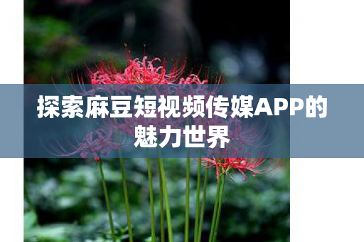 探索麻豆短视频传媒APP的魅力世界图片