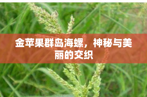神秘与美丽的交织图片