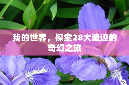 探索28大遗迹的奇幻之旅图片