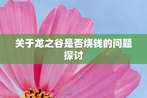 关于龙之谷是否烧钱的问题探讨图片