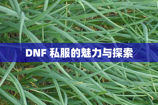 DNF 私服的魅力与探索图片