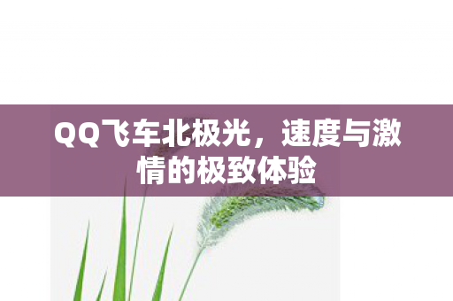速度与激情的极致体验图片
