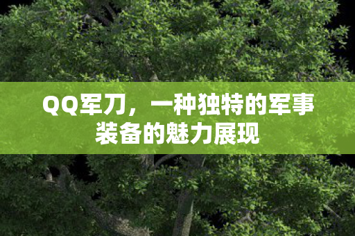一种独特的军事装备的魅力展现图片