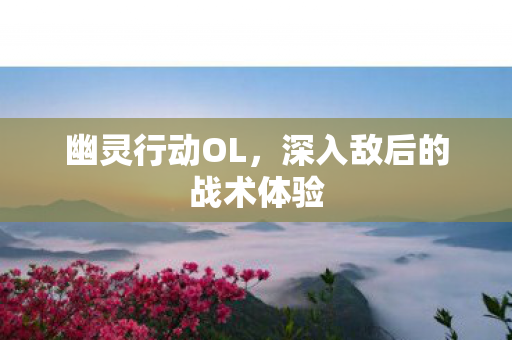 深入敌后的战术体验图片