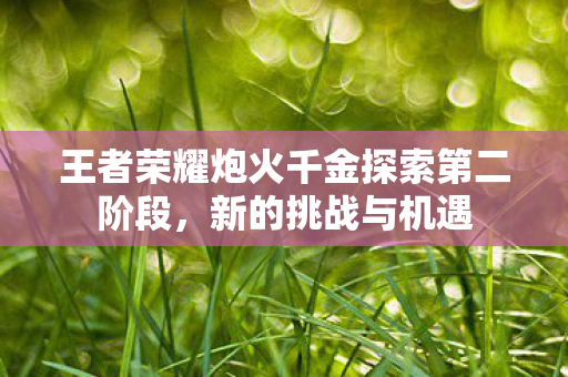 王者荣耀炮火千金探索第二阶段图片