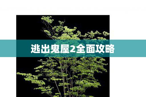 逃出鬼屋2全面攻略图片