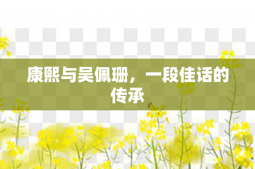 一段佳话的传承图片