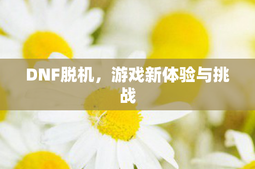 游戏新体验与挑战图片