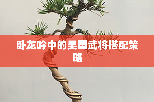 卧龙吟中的吴国武将搭配策略图片