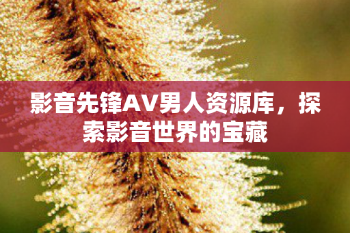 影音先锋AV男人资源库图片