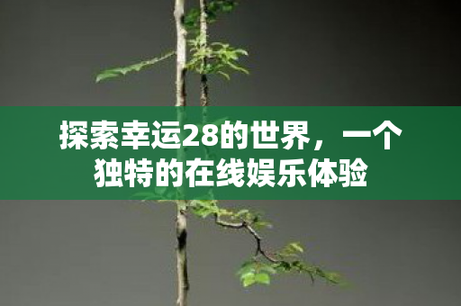 一个独特的在线娱乐体验图片