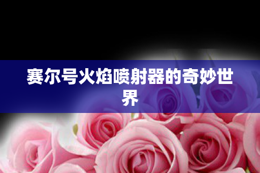 赛尔号火焰喷射器的奇妙世界图片