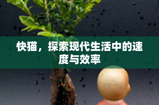 探索现代生活中的速度与效率图片