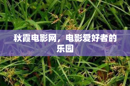 电影爱好者的乐园图片