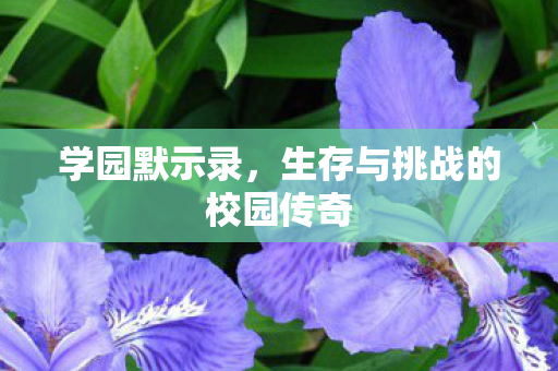 生存与挑战的校园传奇图片