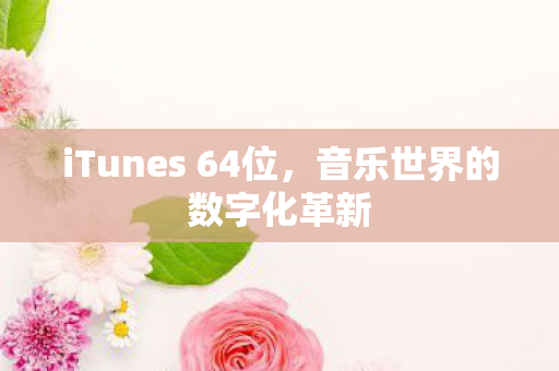 iTunes 64位图片