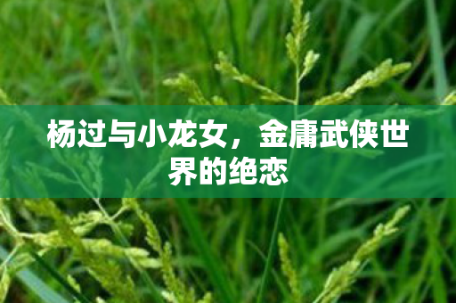 金庸武侠世界的绝恋图片