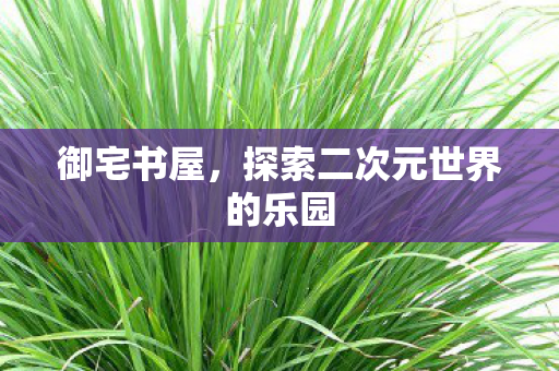 探索二次元世界的乐园图片