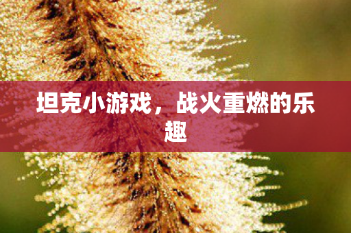 战火重燃的乐趣图片