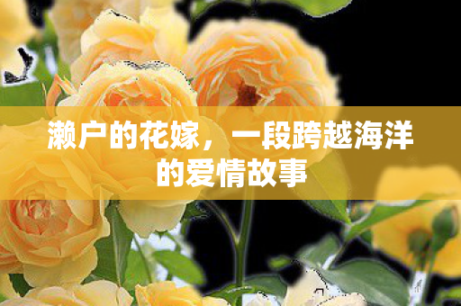 一段跨越海洋的爱情故事图片