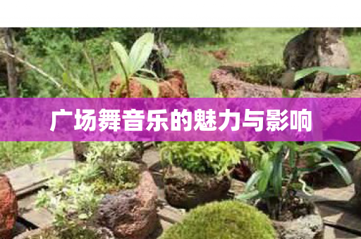 广场舞音乐的魅力与影响图片