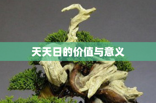 天天日的价值与意义图片