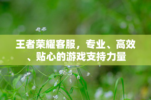 贴心的游戏支持力量图片