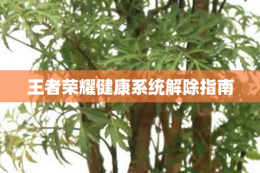 王者荣耀健康系统解除指南图片