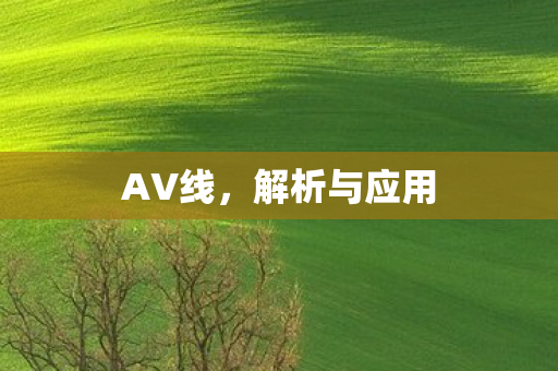 解析与应用图片