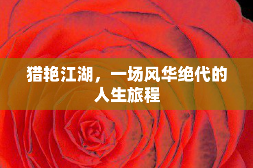 一场风华绝代的人生旅程图片