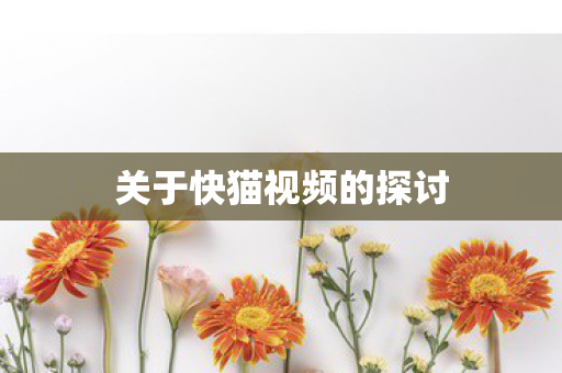 关于快猫视频的探讨图片