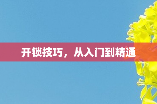 从入门到精通图片