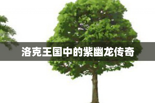 洛克王国中的紫幽龙传奇图片