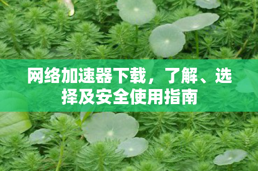 选择及安全使用指南图片