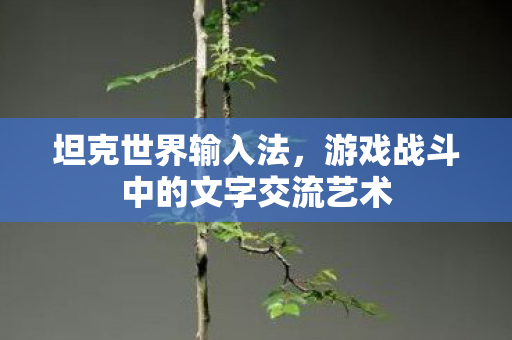 游戏战斗中的文字交流艺术图片